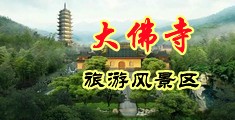 操BB嫩穴中国浙江-新昌大佛寺旅游风景区